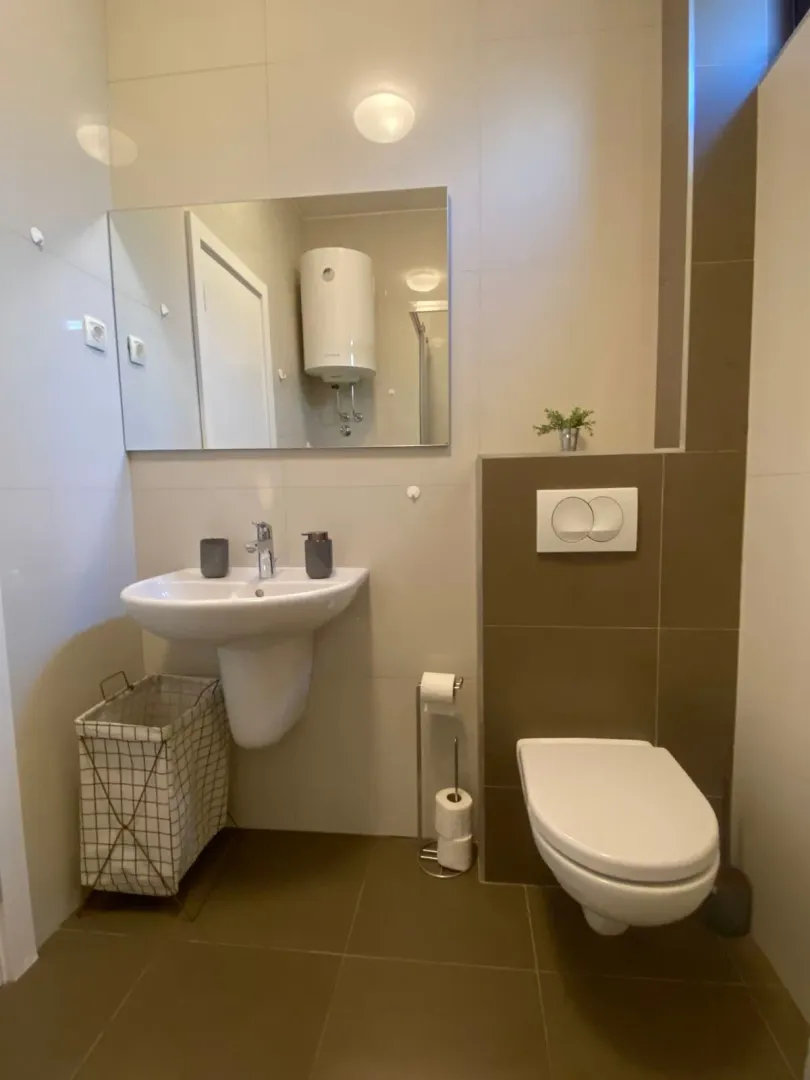Moderno opremljeno kupatilo sa umivaonikom, wc šoljom i bojlerom.