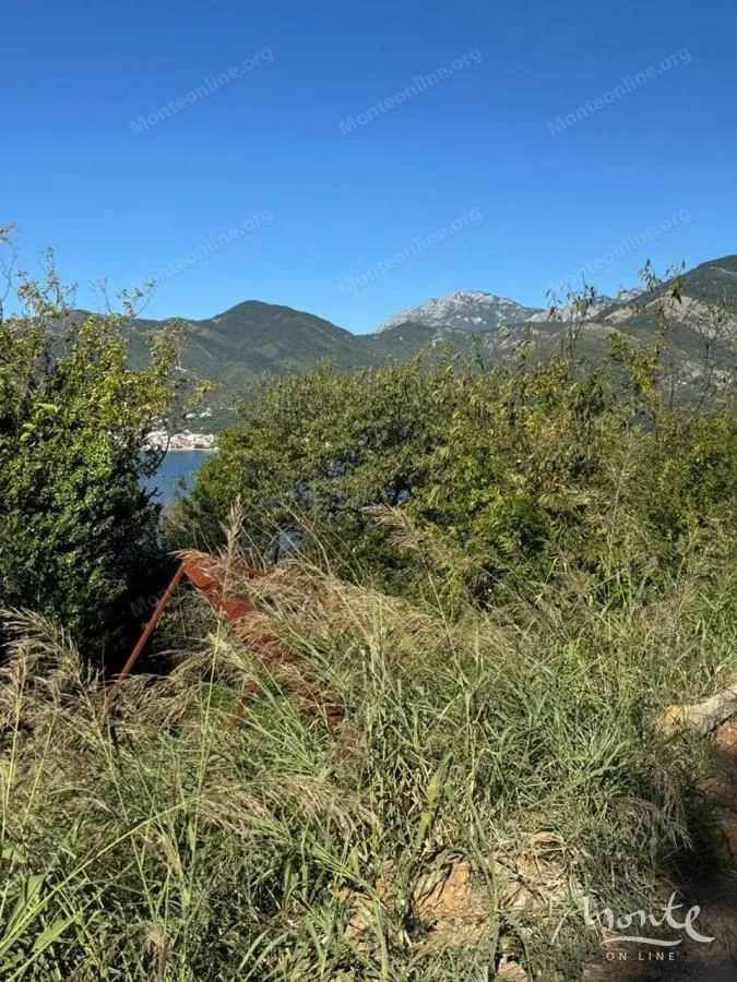 Prodaja, plac, 3429m², Donja Lastva, Tivat