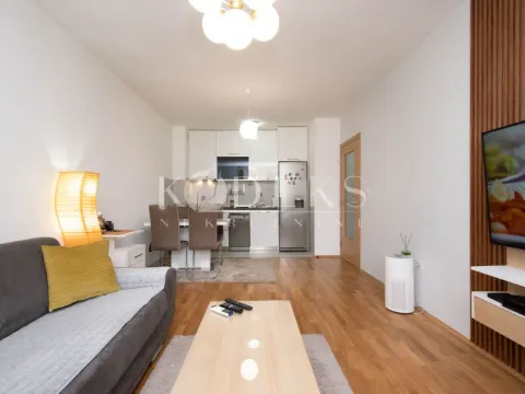 Izdavanje, jednosoban stan, 45m², Stari Aerodrom, Podgorica - image 3