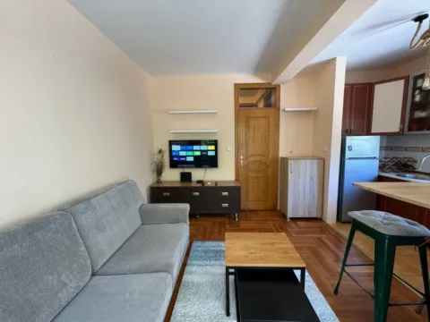 Izdavanje, jednosoban stan, 38m², Pod Goricom, Podgorica - image 2