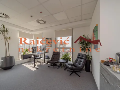 Izdavanje, poslovni prostor, 289m², Tašmajdan, Palilula Sve Podlokacije - image 16