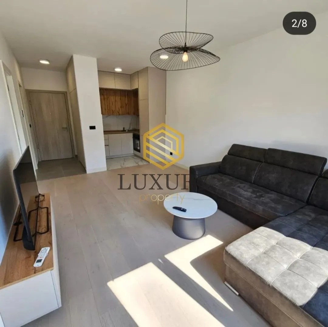 Rent, one bedroom apartment, 44m², Central Point, Podgorica