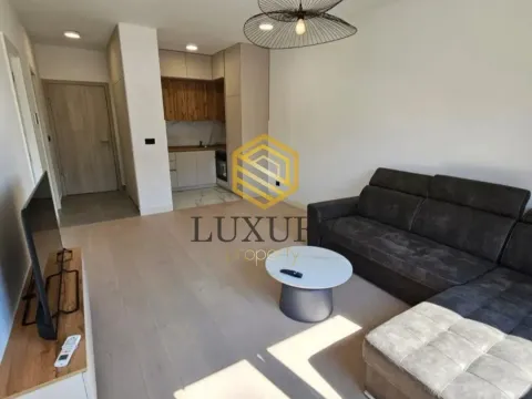 Rent, one bedroom apartment, 44m², Central Point, Podgorica - image 3