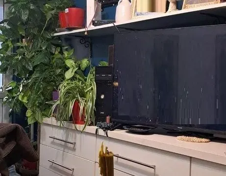 Prodaja, trosoban stan, 60m², Novi Sad, Srbija - image 3