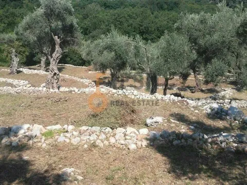 Prodaja, plac, 12579m², Bar, Crna Gora - image 3