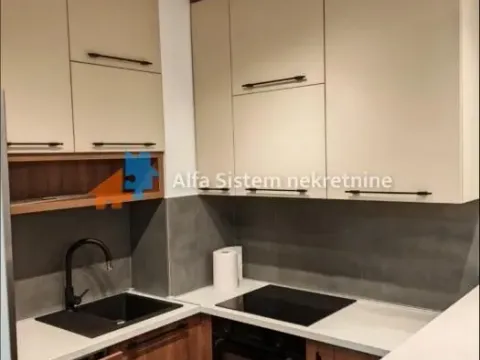 Izdavanje, dvosoban stan, 57m², Novi Beograd Sve Podlokacije, Beograd - image 2