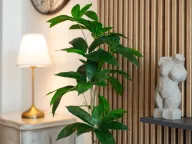 Prodaja, dvosoban stan, 67m², Tivat, Crna Gora - image 25