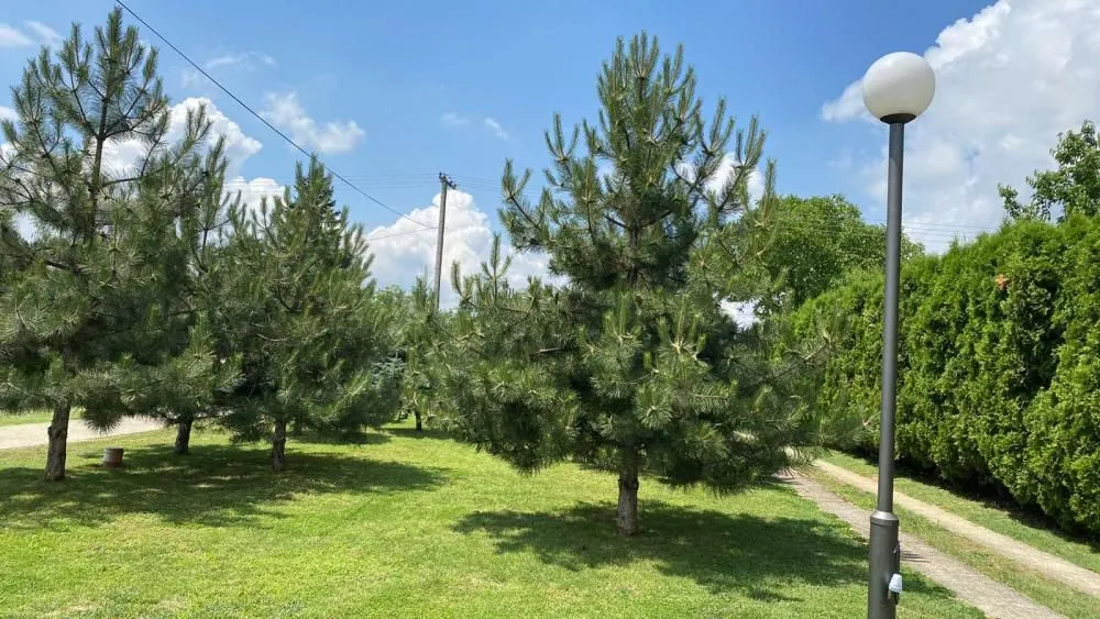 Sale, house, 450m², Krstašice, Irig