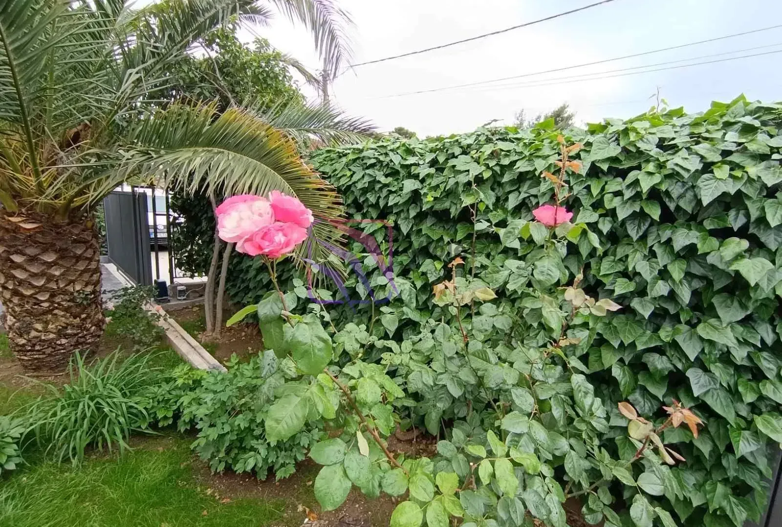 Rent, house, 80m², Gintaš, Podgorica