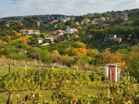 Sale, land lot, 30m², Sremska Kamenica, Petrovaradin