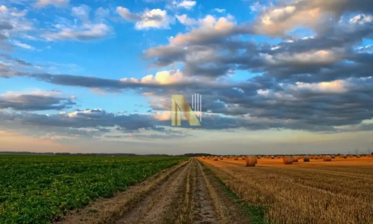 Prodaja, plac, 750000m², Kruščić, Kula