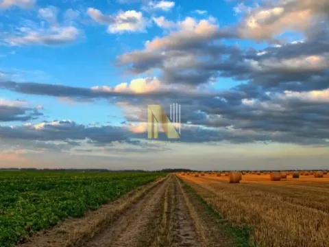 Sale, land lot, 7500m², Kruščić, Kula