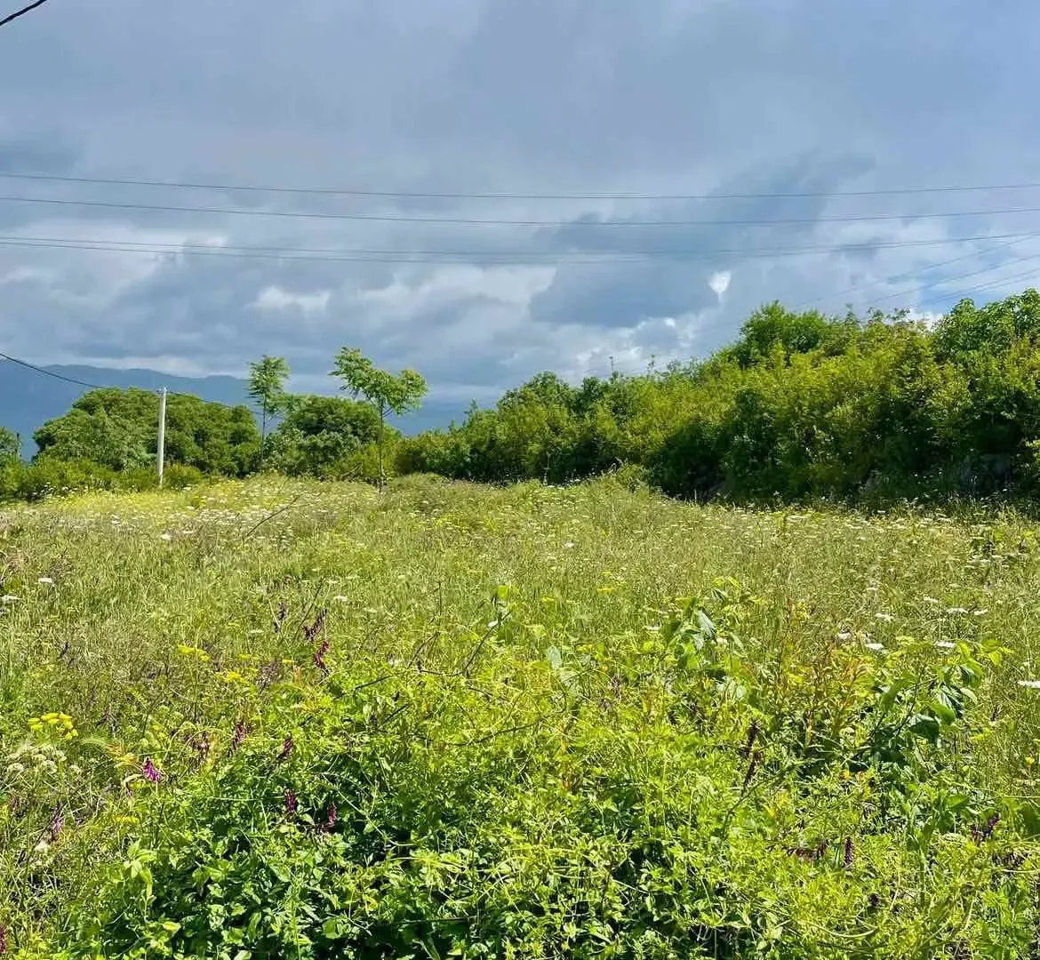 Prodaja, plac, 3000m², Danilovgrad, Crna Gora
