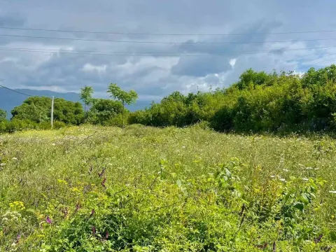 Prodaja, plac, 3000m², Danilovgrad, Crna Gora - image 2