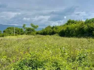 Prodaja, plac, 3000m², Danilovgrad, Crna Gora - image 2