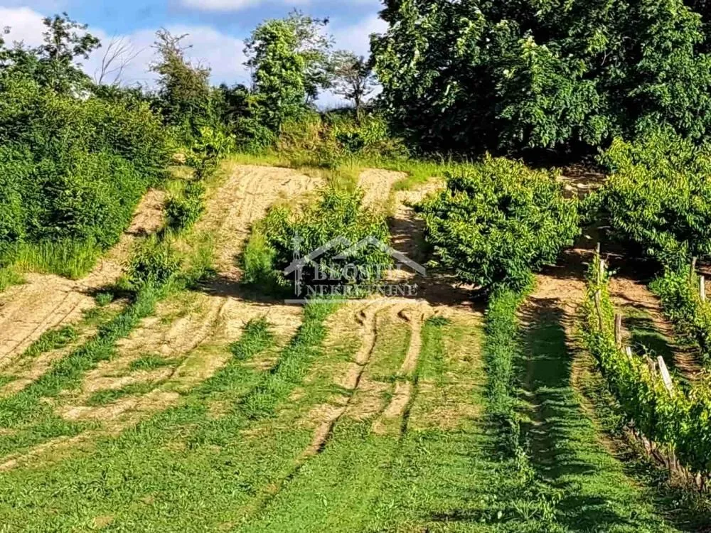 Prodaja, plac, 9563m², Grocka, Beograd