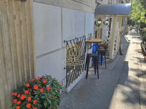 Izdavanje, poslovni prostor, 92m², Cvetni Trg, Vračar Sve Podlokacije - image 14