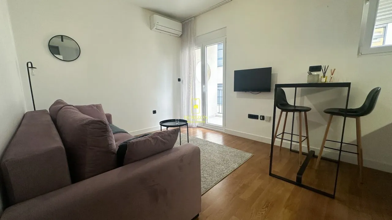 Rent, studio apartment, 24m², City Kej, Podgorica