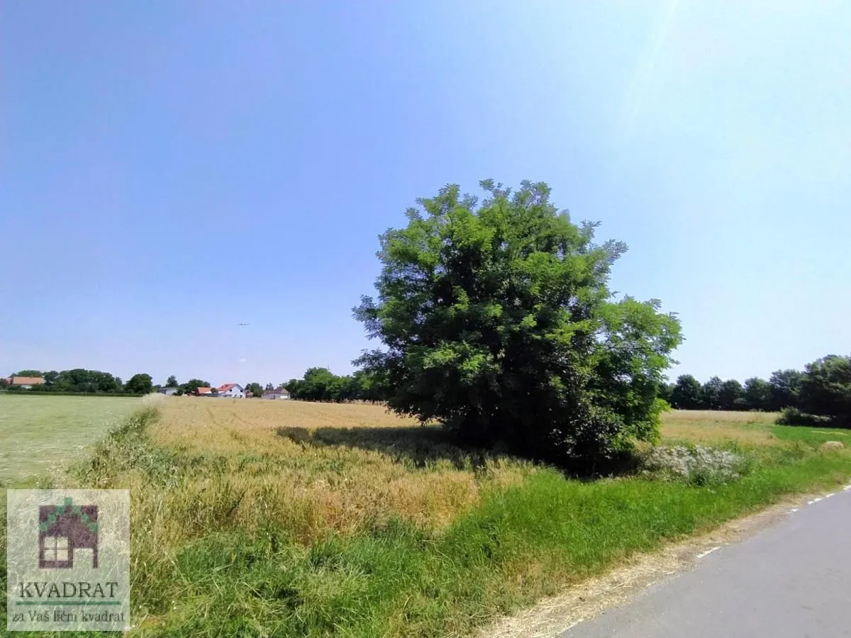 Prodaja, plac, 10000m², Obrenovac, Beograd