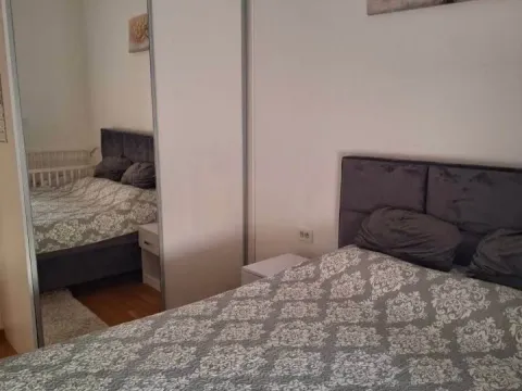 Rent, one bedroom apartment, 46m², Stari Aerodrom, Podgorica - image 4