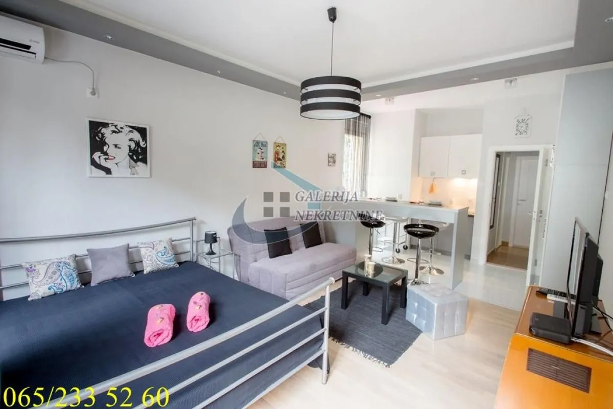 Rent, one bedroom apartment, 35m², Botanička Bašta, Palilula Sve Podlokacije