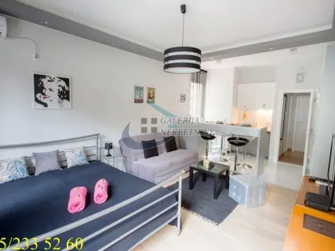 Rent, one bedroom apartment, 35m², Botanička Bašta, Palilula Sve Podlokacije - image 3