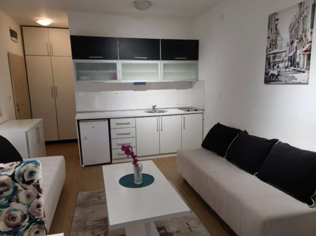 Izdavanje, garsonjera, 30m², Rafailovići, Budva