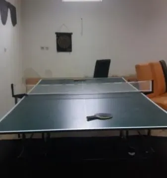 Prodaja, kuća, 587m², Sremska Kamenica, Petrovaradin - image 4