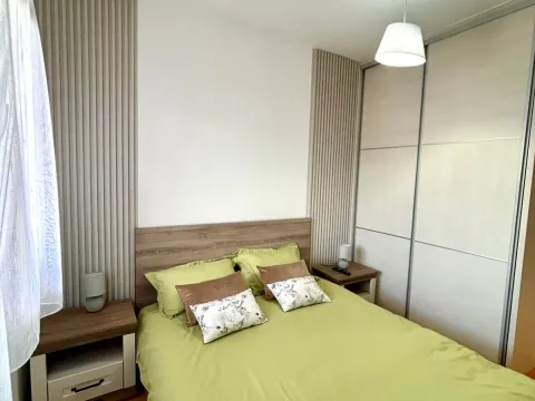 Izdavanje, dvosoban stan, 45m², Ljubović, Podgorica - image 7