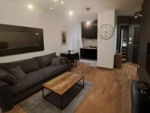 Izdavanje, jednosoban stan, 45m², City Kej, Podgorica - image 4