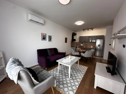 Izdavanje, jednosoban stan, 46m², Donja Gorica, Podgorica - image 1