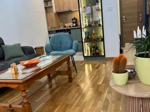 Izdavanje, dvosoban stan, 40m², Zabjelo, Podgorica - image 2