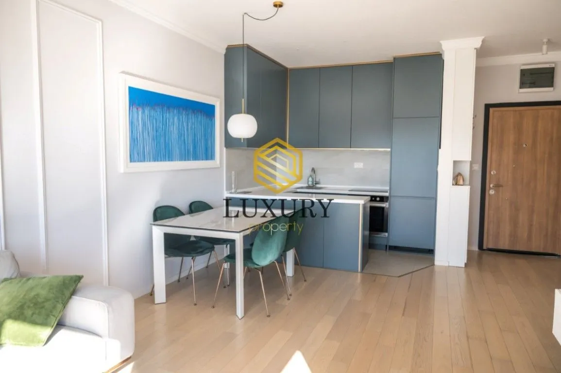 Rent, one bedroom apartment, 47m², Centar, Podgorica