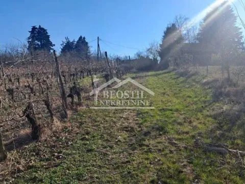 Prodaja, plac, 2000m², Brestovik, Grocka - image 7