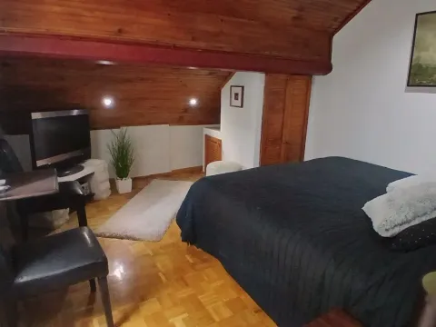 Rent, four bedroom apartment, 110m², Kalenić Pijaca, Vračar Sve Podlokacije - image 19