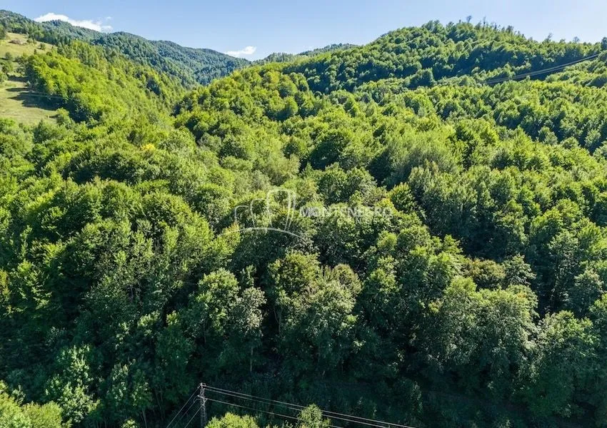 Sale, land lot, 140000m², Crkvine, Kolašin