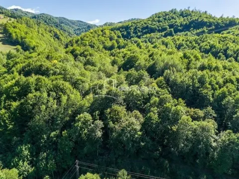 Prodaja, plac, 140000m², Crkvine, Kolašin - image 12