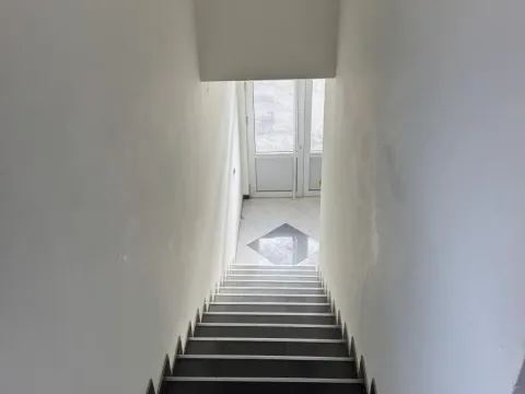 Izdavanje, poslovni prostor, 100m², Surčin, Beograd - image 4