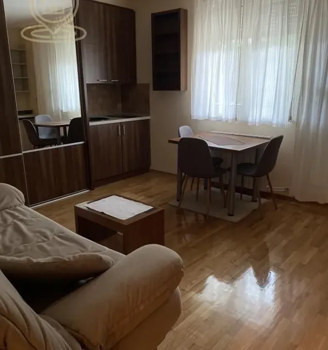 Rent, one bedroom apartment, 42m², Sajmište, Novi Sad