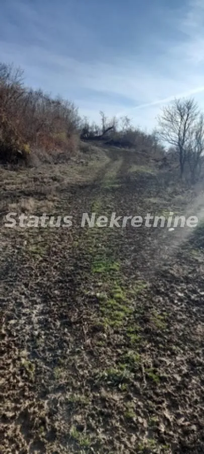 Prodaja, plac, 13011m², Beočin, Srbija