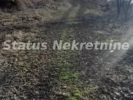 Prodaja, plac, 130m², Beočin, Srbija - image 7