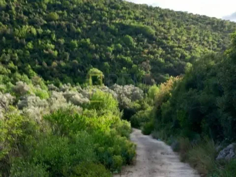 Prodaja, plac, 4000m², Kruče, Ulcinj - image 2