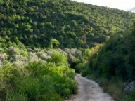 Prodaja, plac, 4000m², Kruče, Ulcinj - image 2