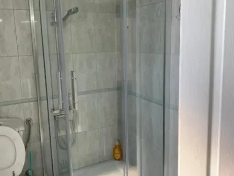 Rent, house, 250m², Zagorič, Podgorica - image 8