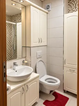 Compact bathroom with a washbasin, toilet, shower cabin, and fitted cabinets. - image 5