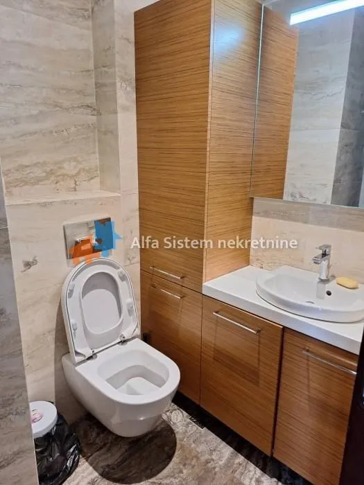 Rent, three bedroom apartment, 102m², Vračar Hram, Vračar Sve Podlokacije