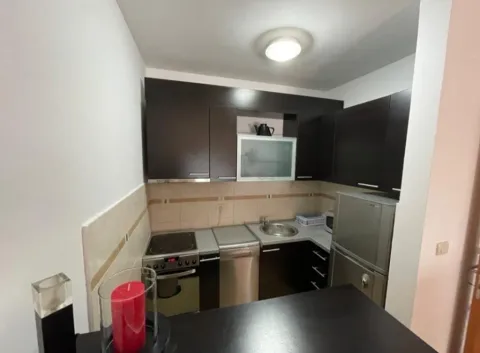 Rent, one bedroom apartment, 50m², Preko Morače, Podgorica - image 9