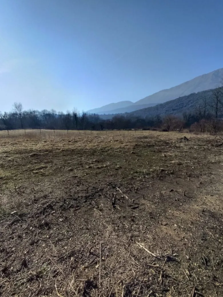 Prodaja, plac, 8318m², Frutak, Danilovgrad