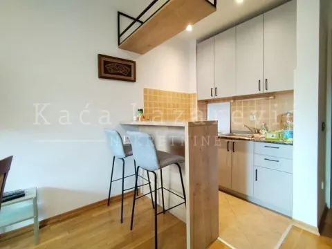 Izdavanje, jednosoban stan, 28m², Voždovac Sve Podlokacije, Beograd - image 5