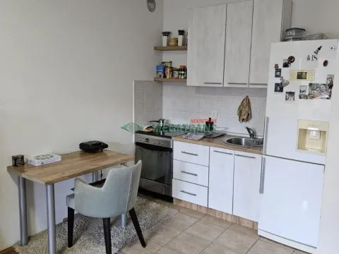 Izdavanje, dvosoban stan, 42m², Novi Sad Sve Podlokacije, Novi Sad - image 4